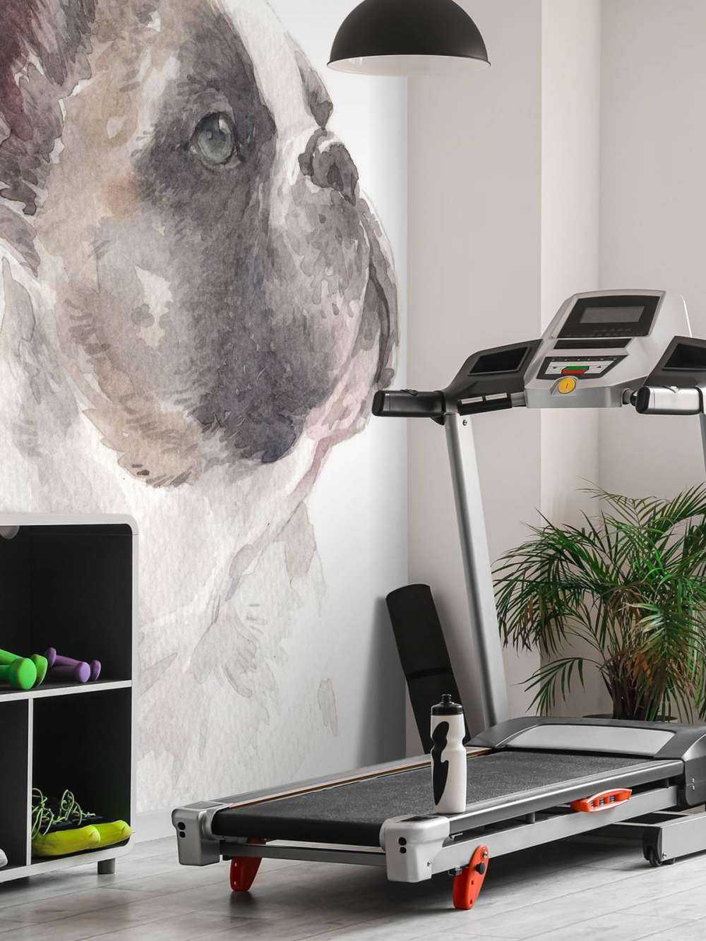 Bulldog francese ad acquerello