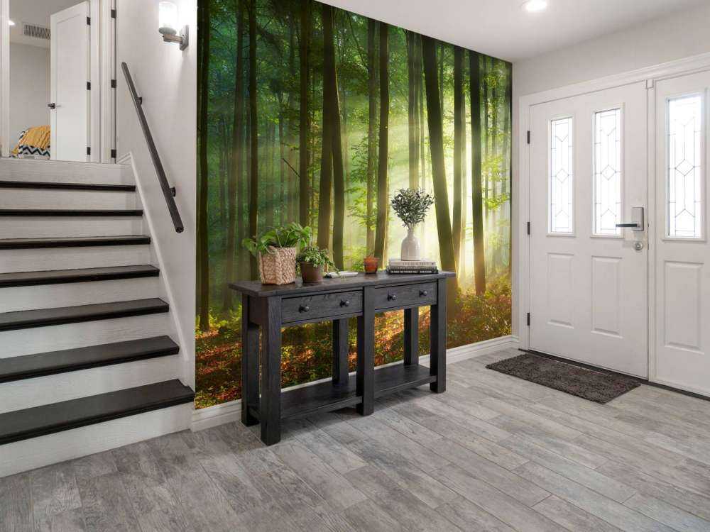 Il sole del mattino tra gli alberi