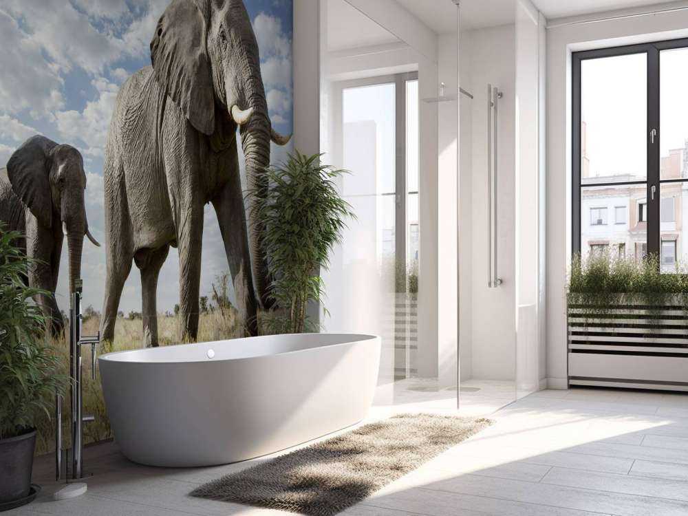 Elefanti di passaggio