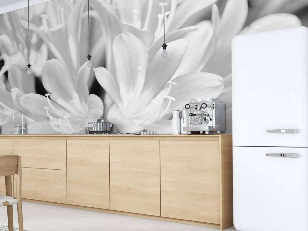 Fiori in fiore, bianco e nero