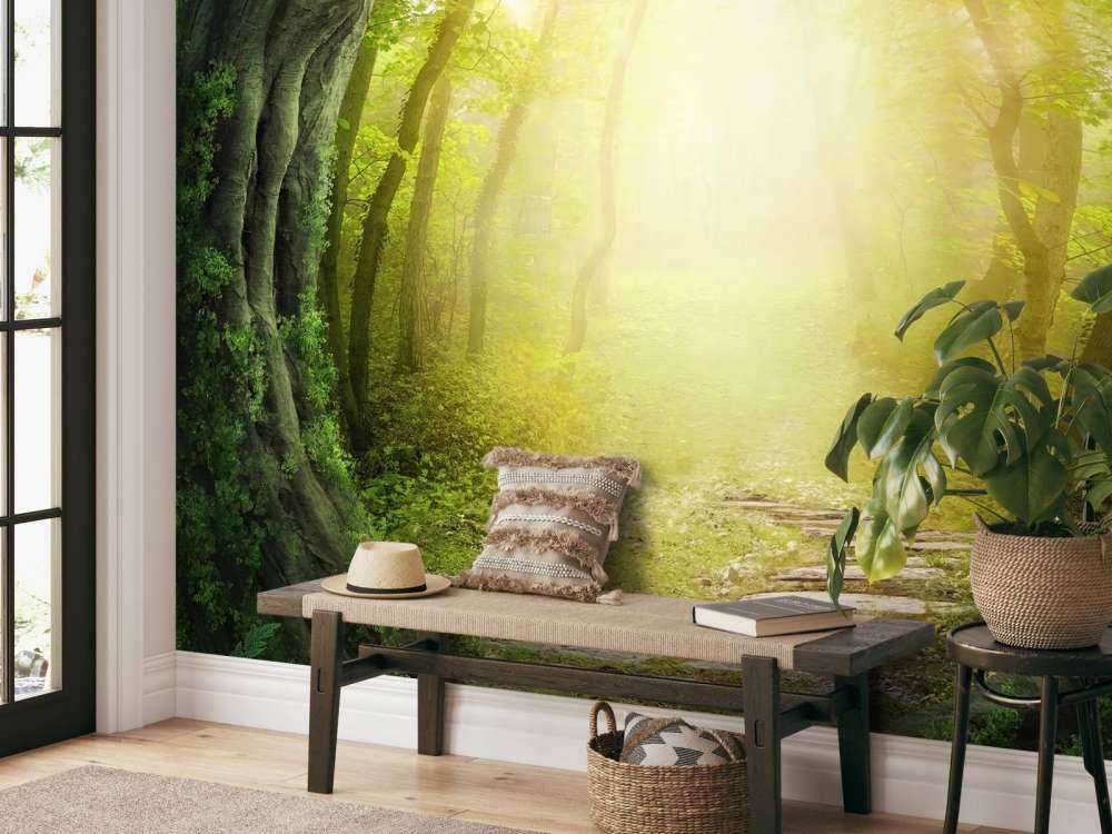 Sentiero di pietra nella foresta