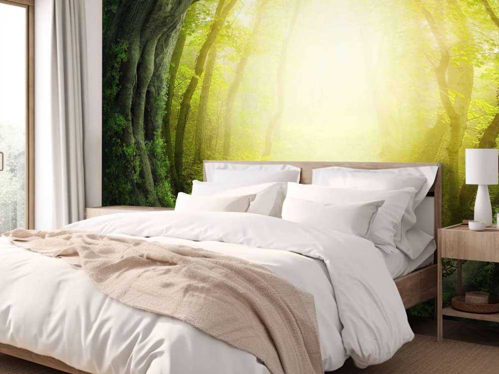 Sentiero di pietra nella foresta