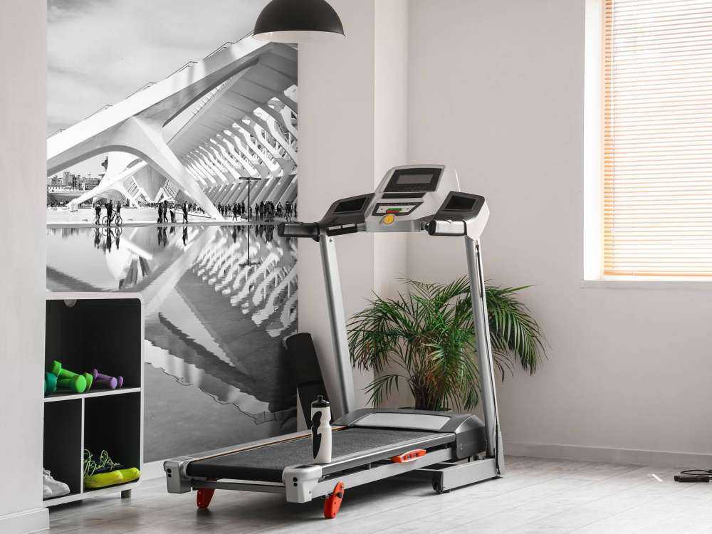 Museo delle scienze - Museo de Ciencas Principe Felipe - Valencia