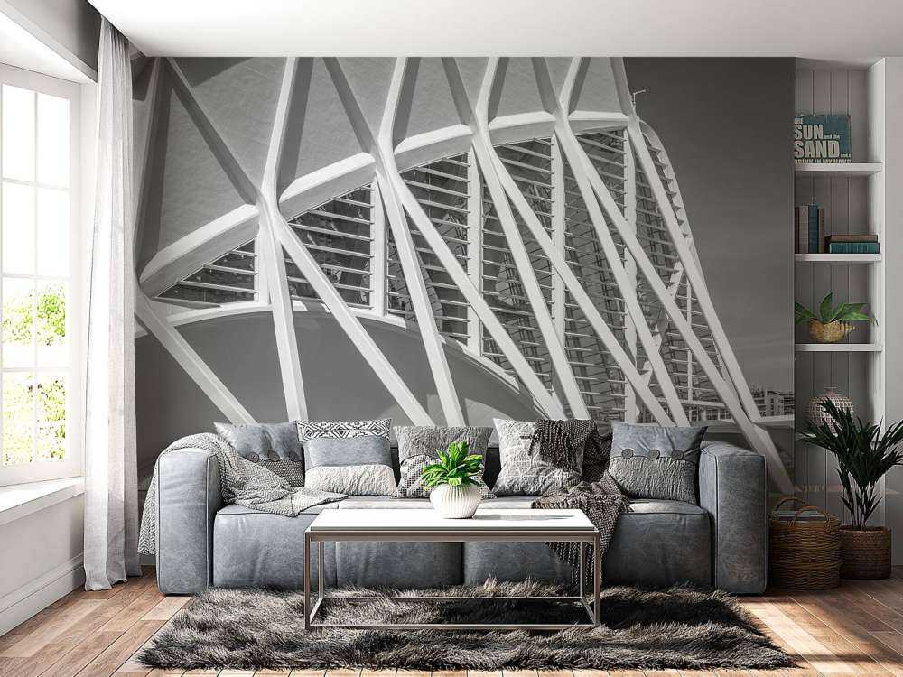 Museo delle scienze - Museo de las Ciencas Principe Felipe - Valencia