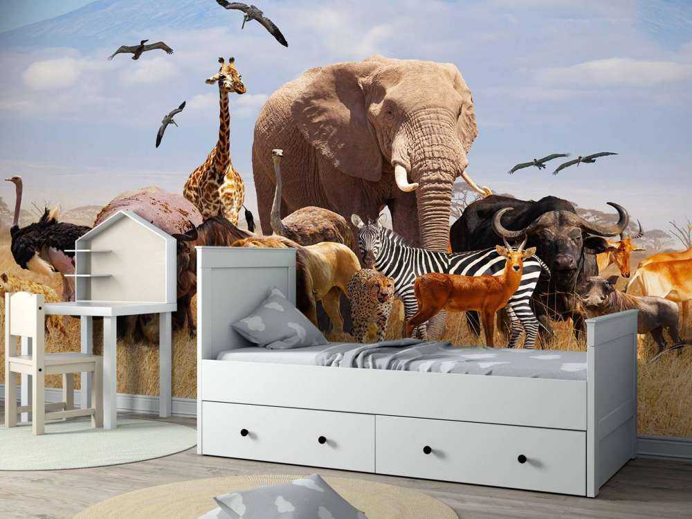 Animali africani sul Kilimangiaro