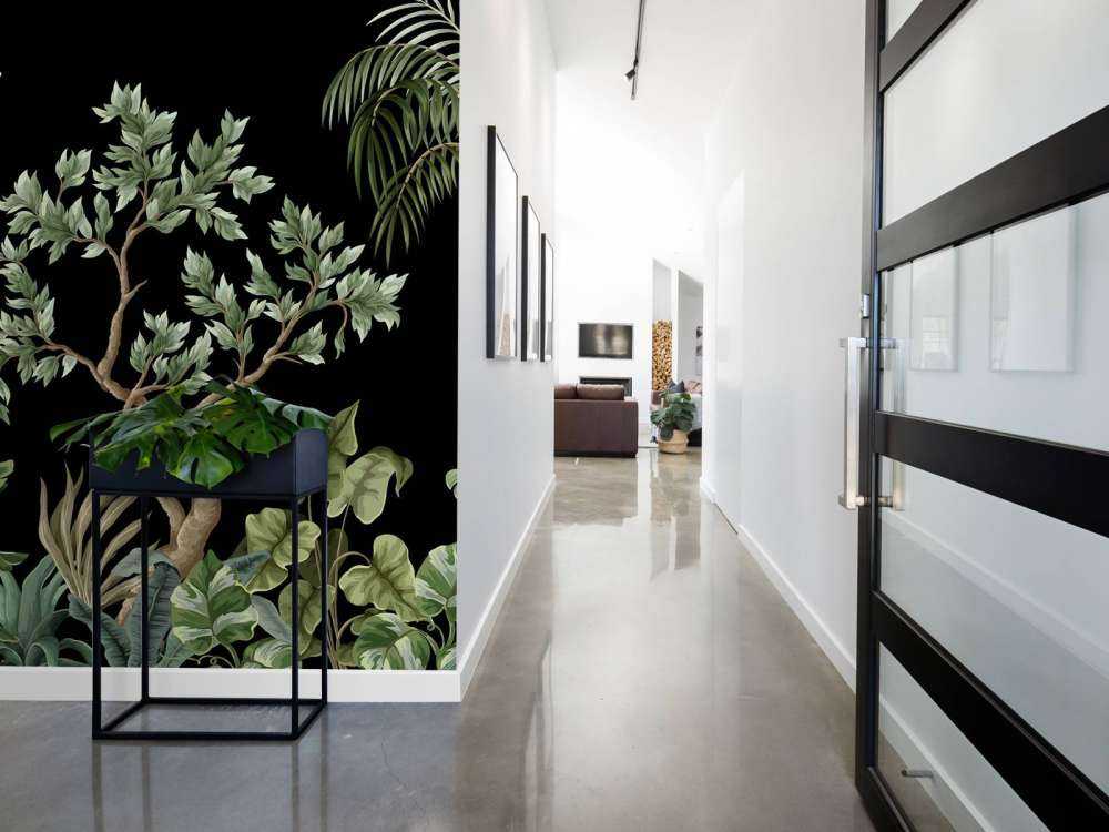 Alberi con sfondo scuro