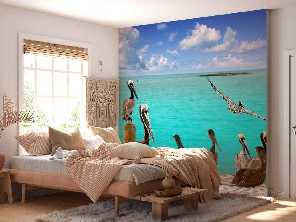 Pellicano dei Caraibi