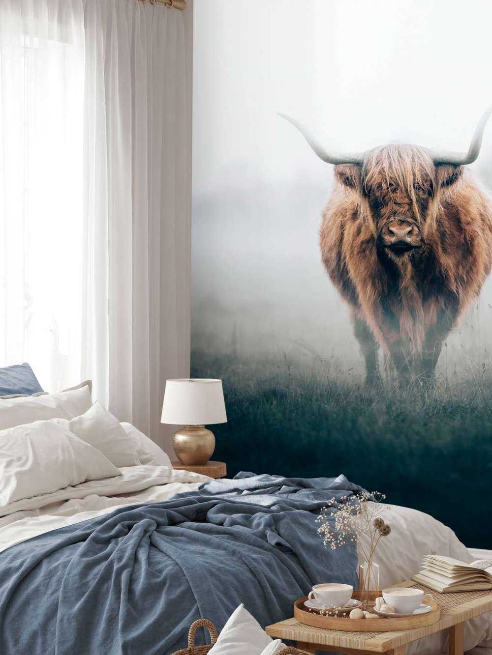 Highlander scozzese in una fitta nebbia