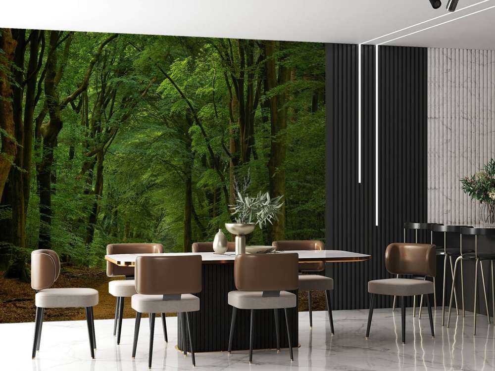 Strada nella foresta