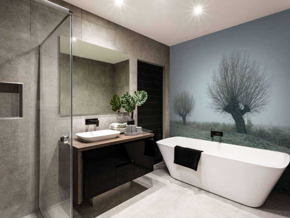 Salici di Pollard nella nebbia