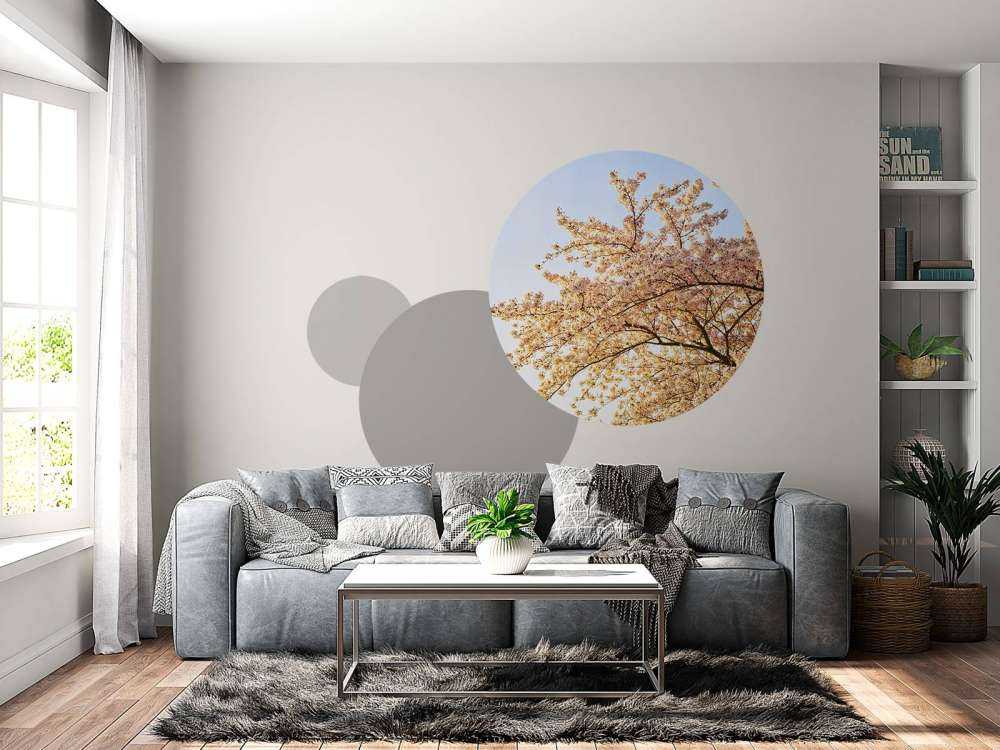 Ramo di fiori in fiore