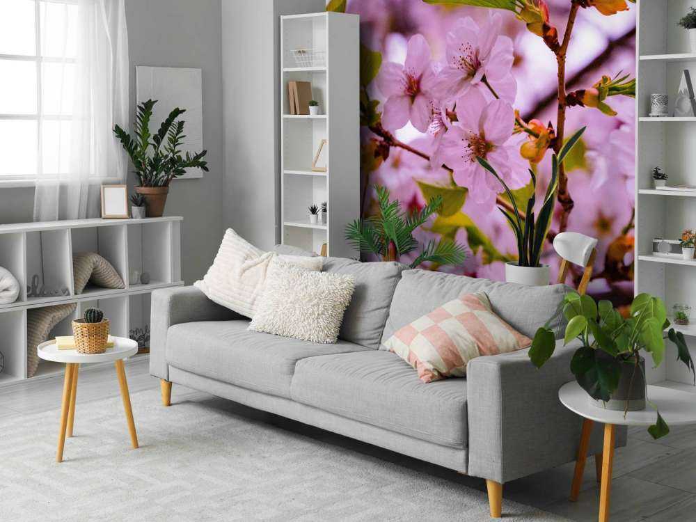 Fiori rosa con petali