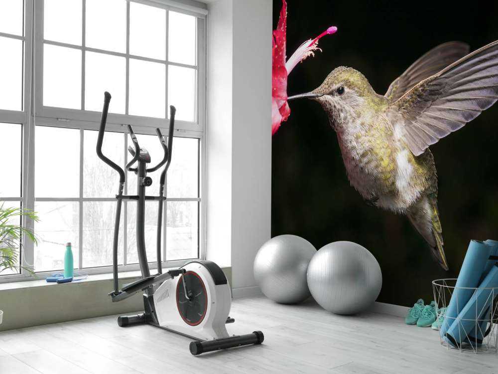 Colibrì con fiore rosso