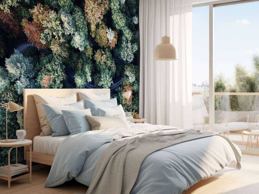 Foresta autunnale dall'alto