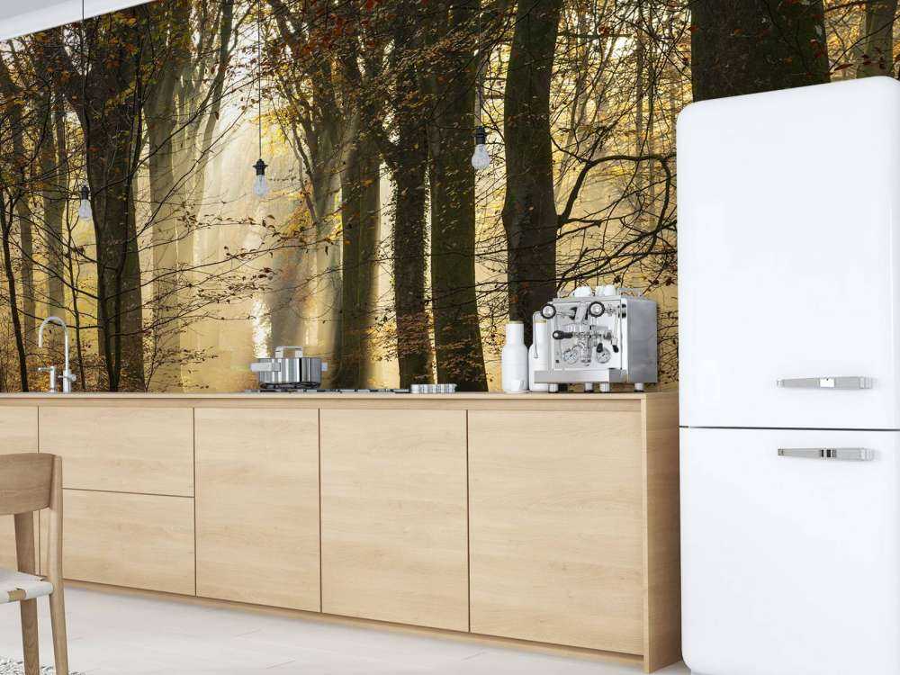 La foresta di Crécy