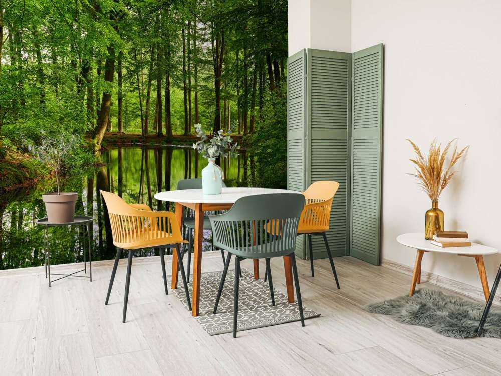 Riflessione di alberi in acqua