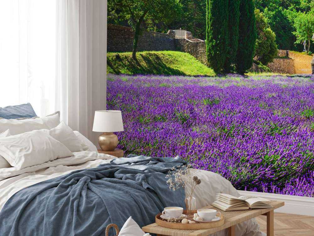 Campo di lavanda fata