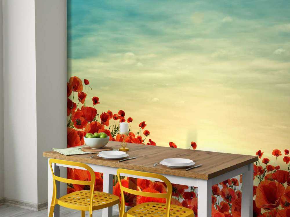 Papaveri con tramonto