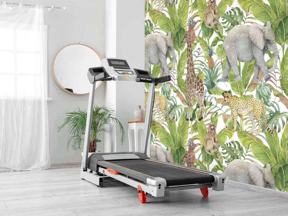 Animali esotici selvaggi