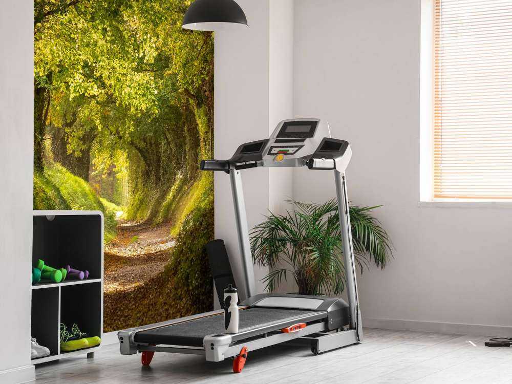 Tunnel dell'albero Halnaker