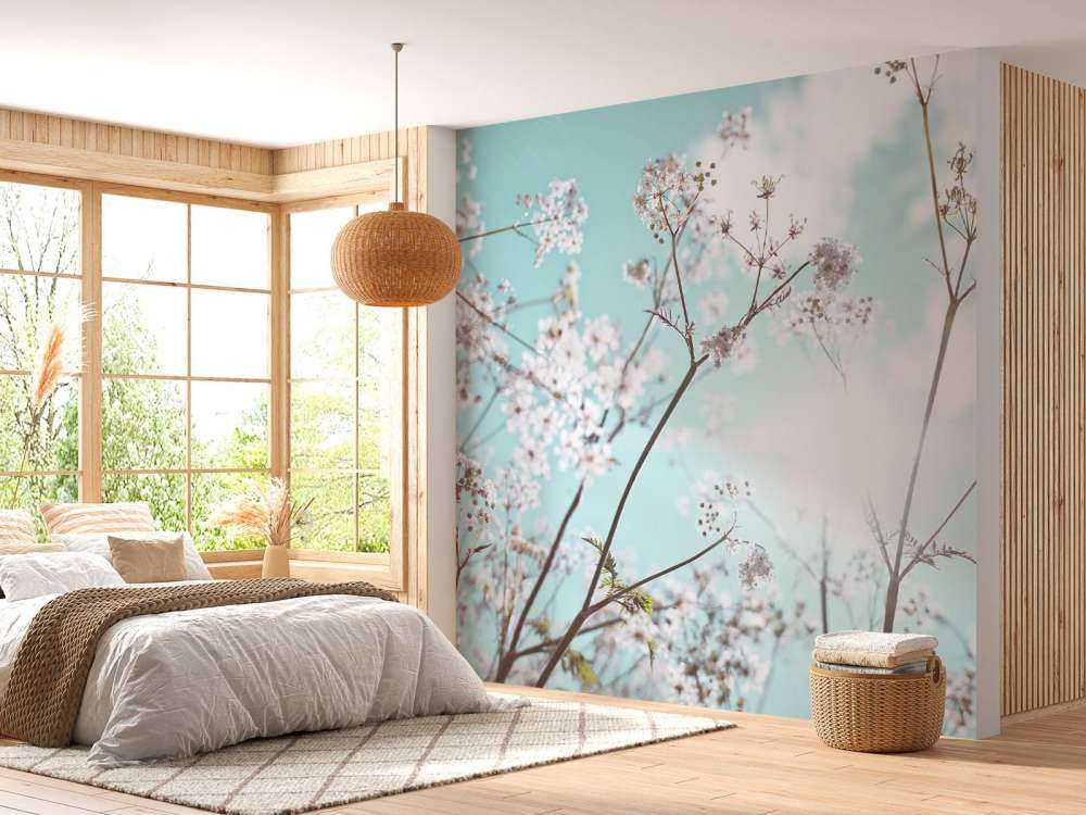 Mandorlo in fiore al sole