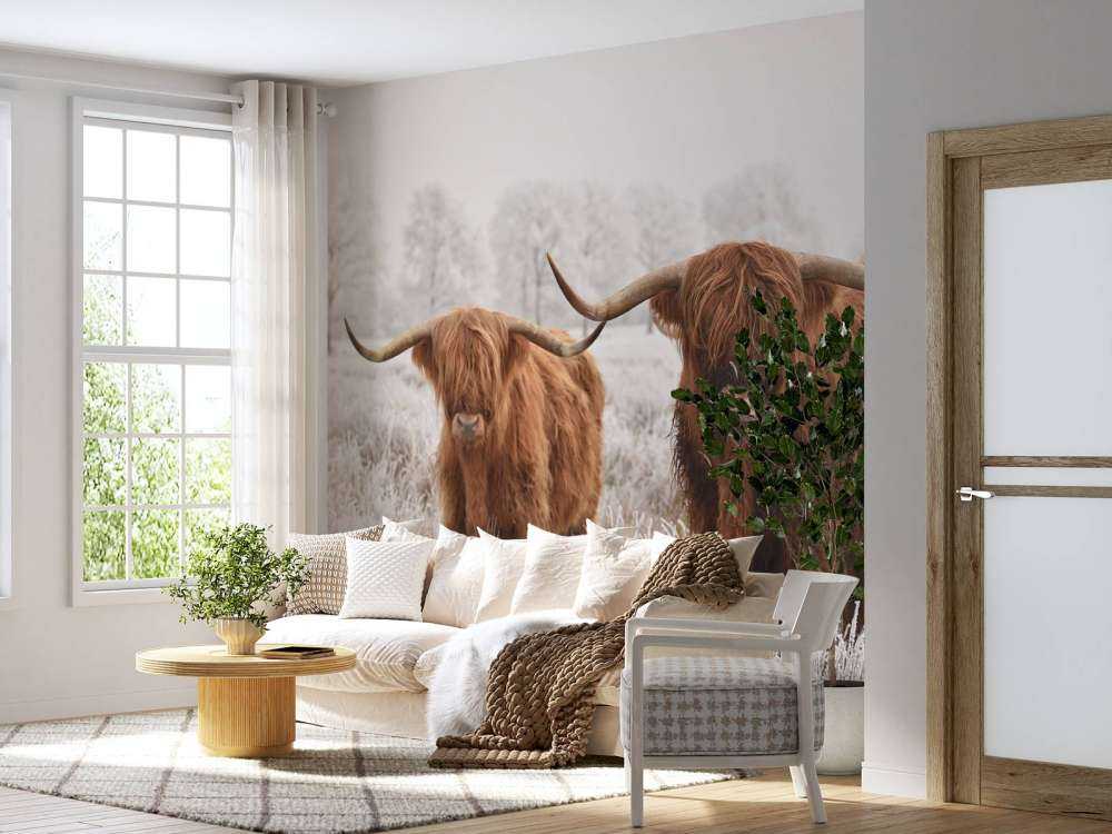 Highlander Invernale