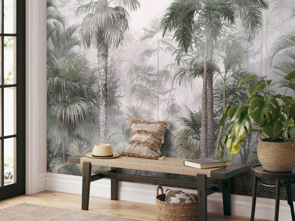 Nebbia Mattutina nei Tropici