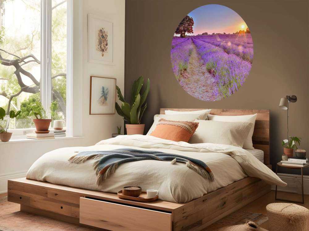 Lavender field at sunset