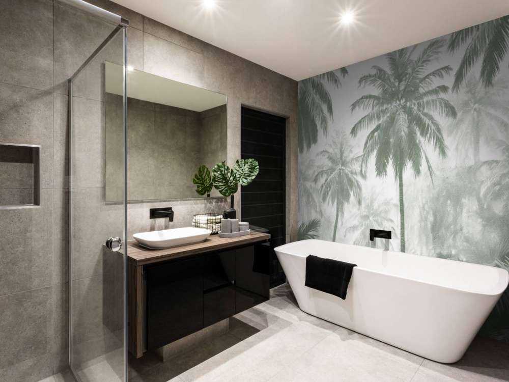 Foresta di Palme Nebbiosa, verde