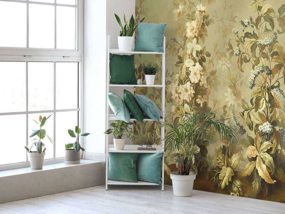 Clematis Verde Oliva Vintage