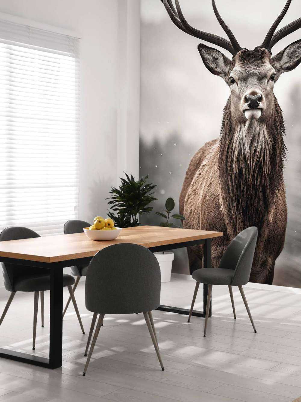 Sguardo del Re d'Inverno Cervo