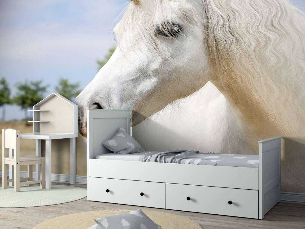 Unicorno bianco