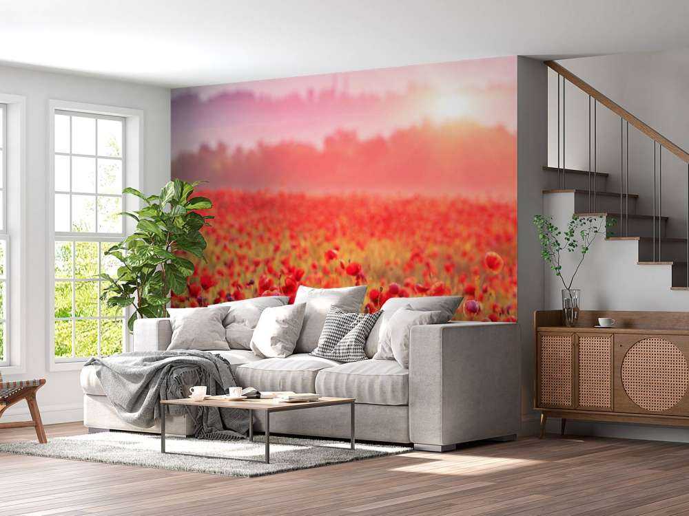 Campo pieno di papaveri