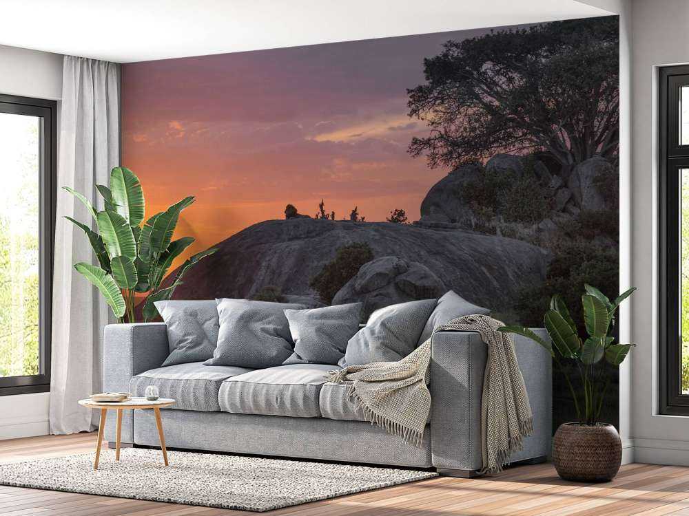 Tramonto sulla savana