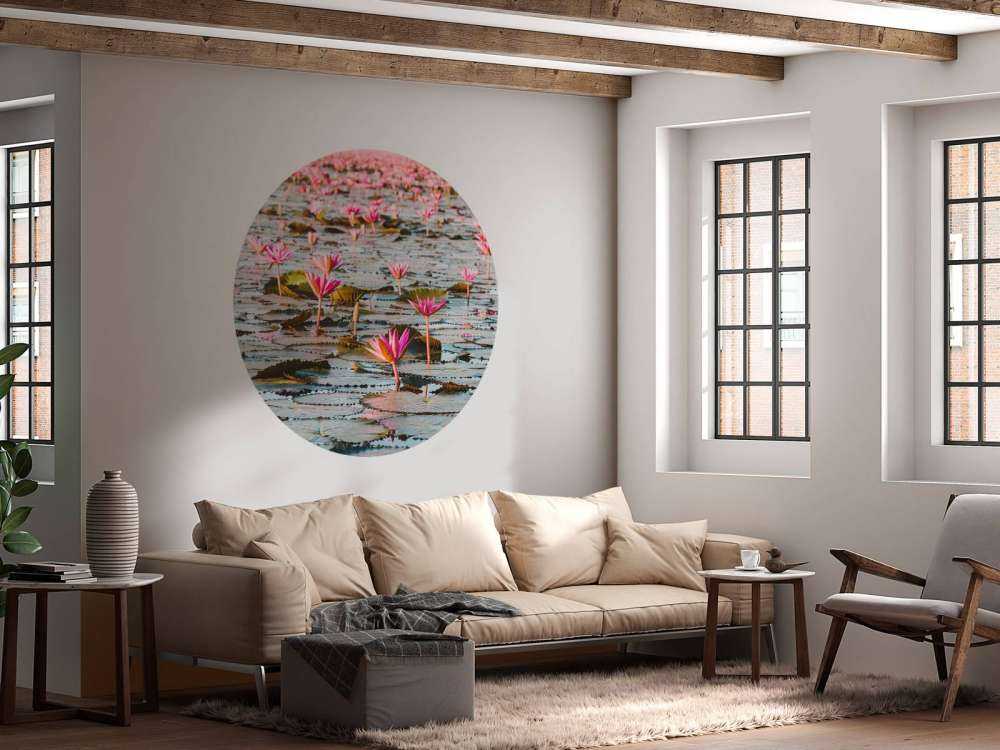 Mare di fiori di loto