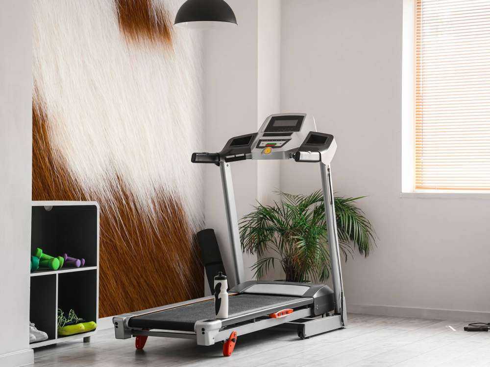 Vacchetta rossa e bianca