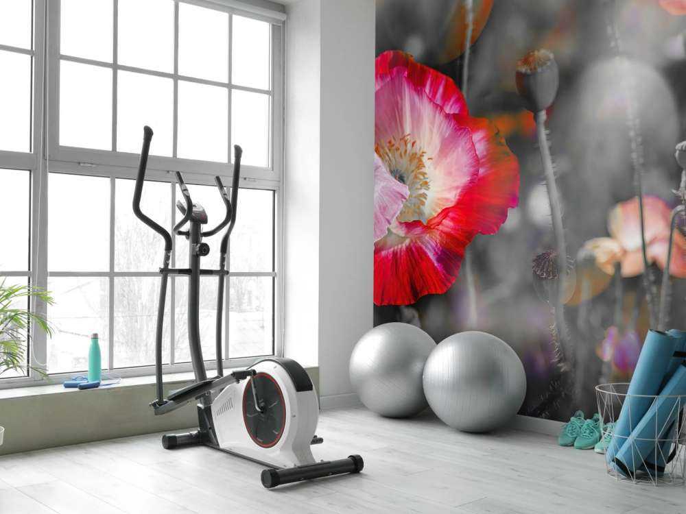 Papaveri in nero, bianco, rosso e nero