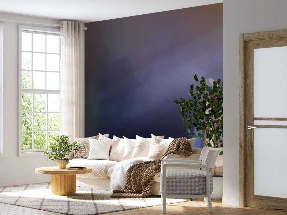 Amore coppia cigni bianchi coppia bianco