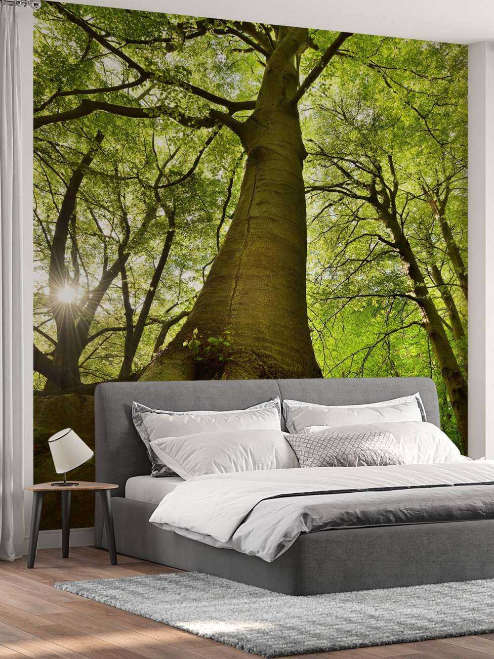 Grande albero e radici