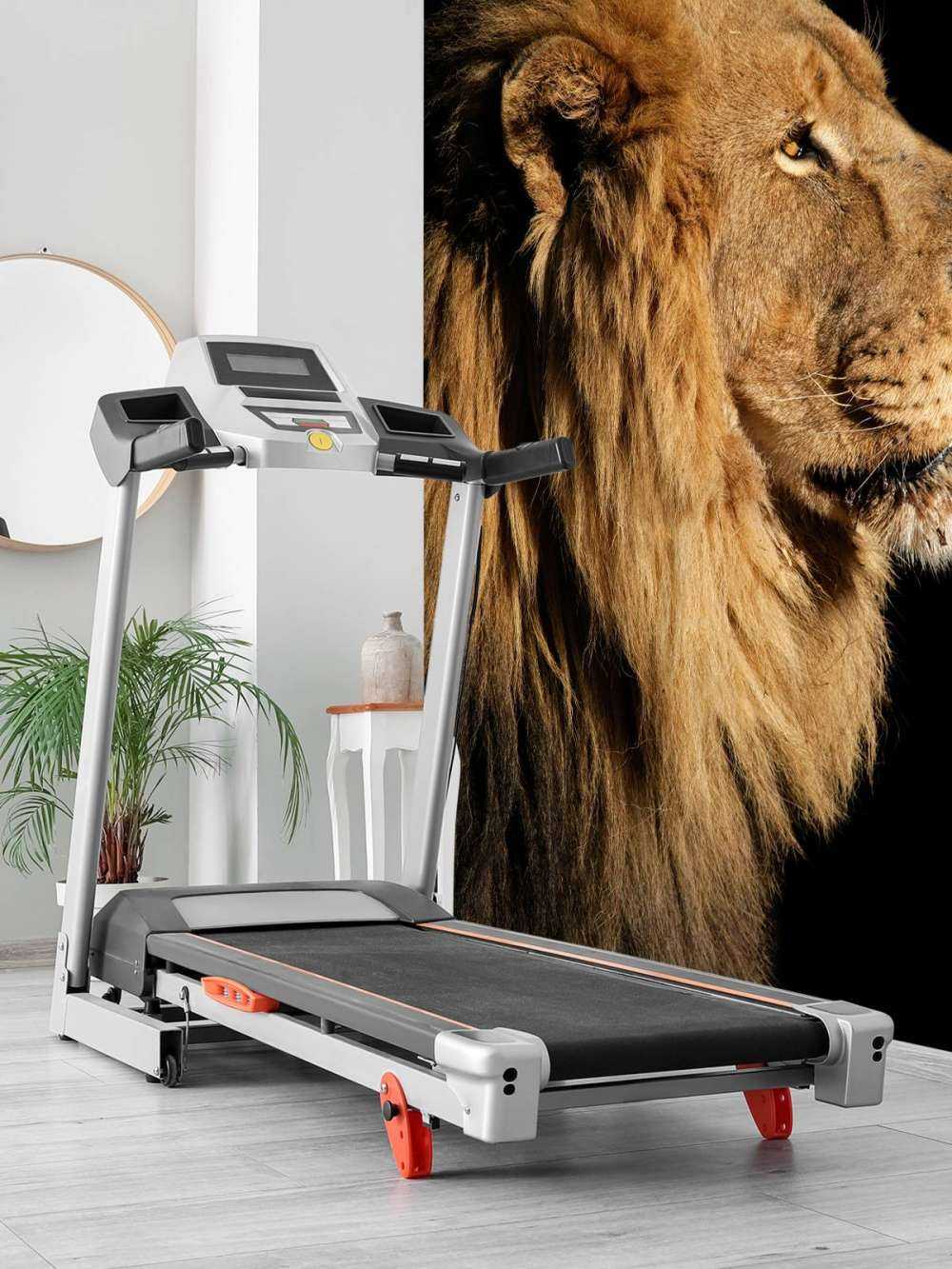 Profilo laterale di un leone