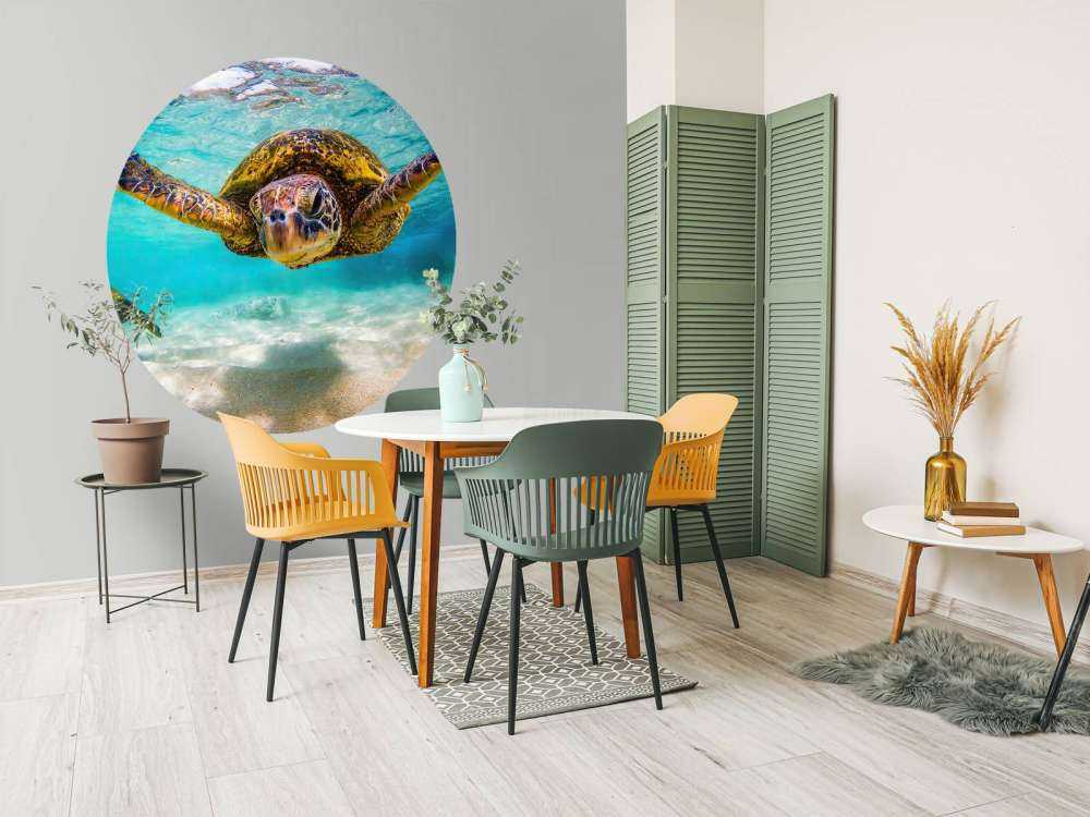 Tartaruga marina nell'oceano