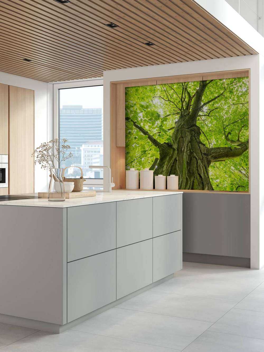 Grande albero nella foresta