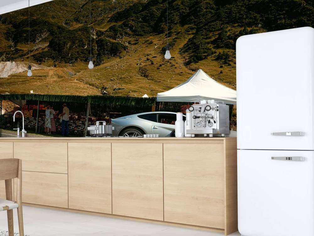 Forza italiana nella natura