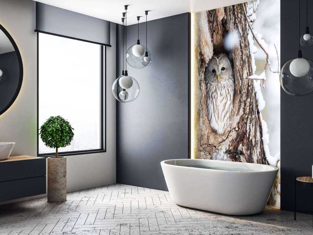 Gufo bianco in un albero cavo