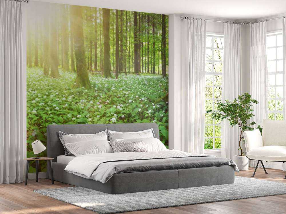 Foresta selvaggia all'alba