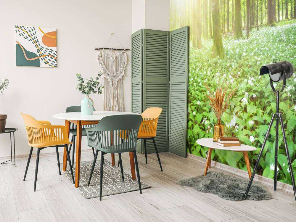 Foresta selvaggia all'alba