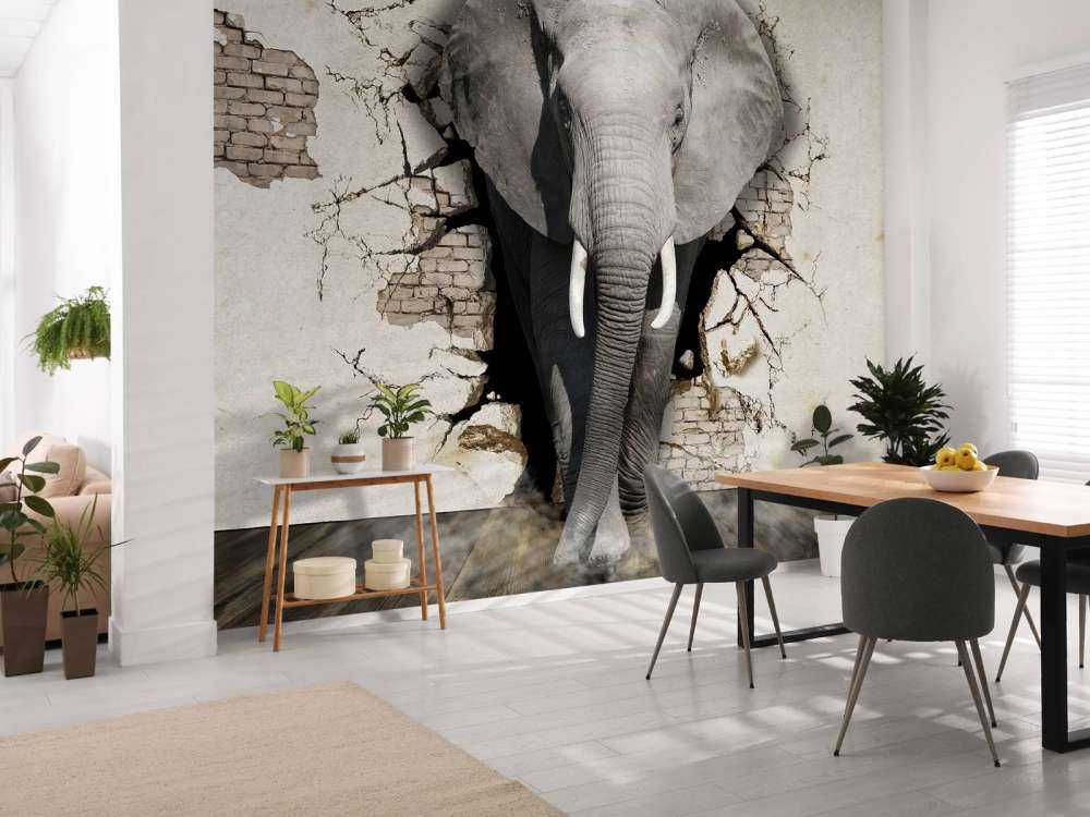 Elefante 3D dal muro