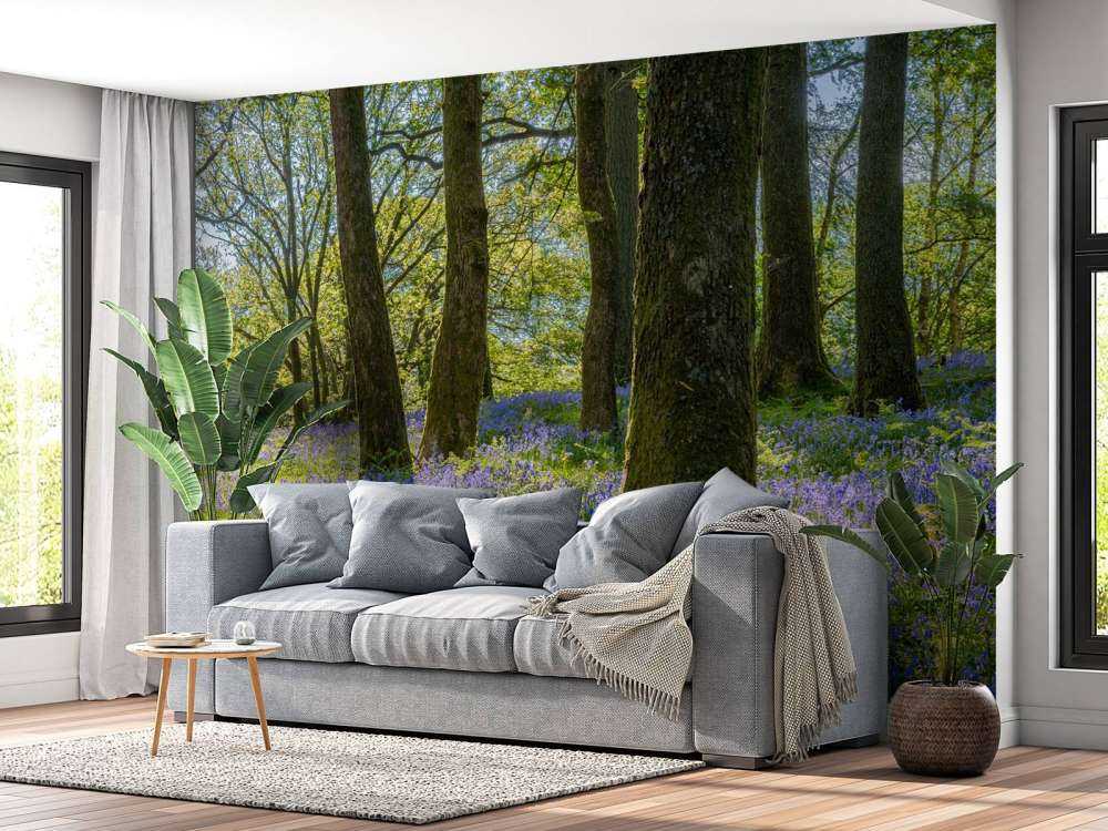 Panorama primaverile in un bosco