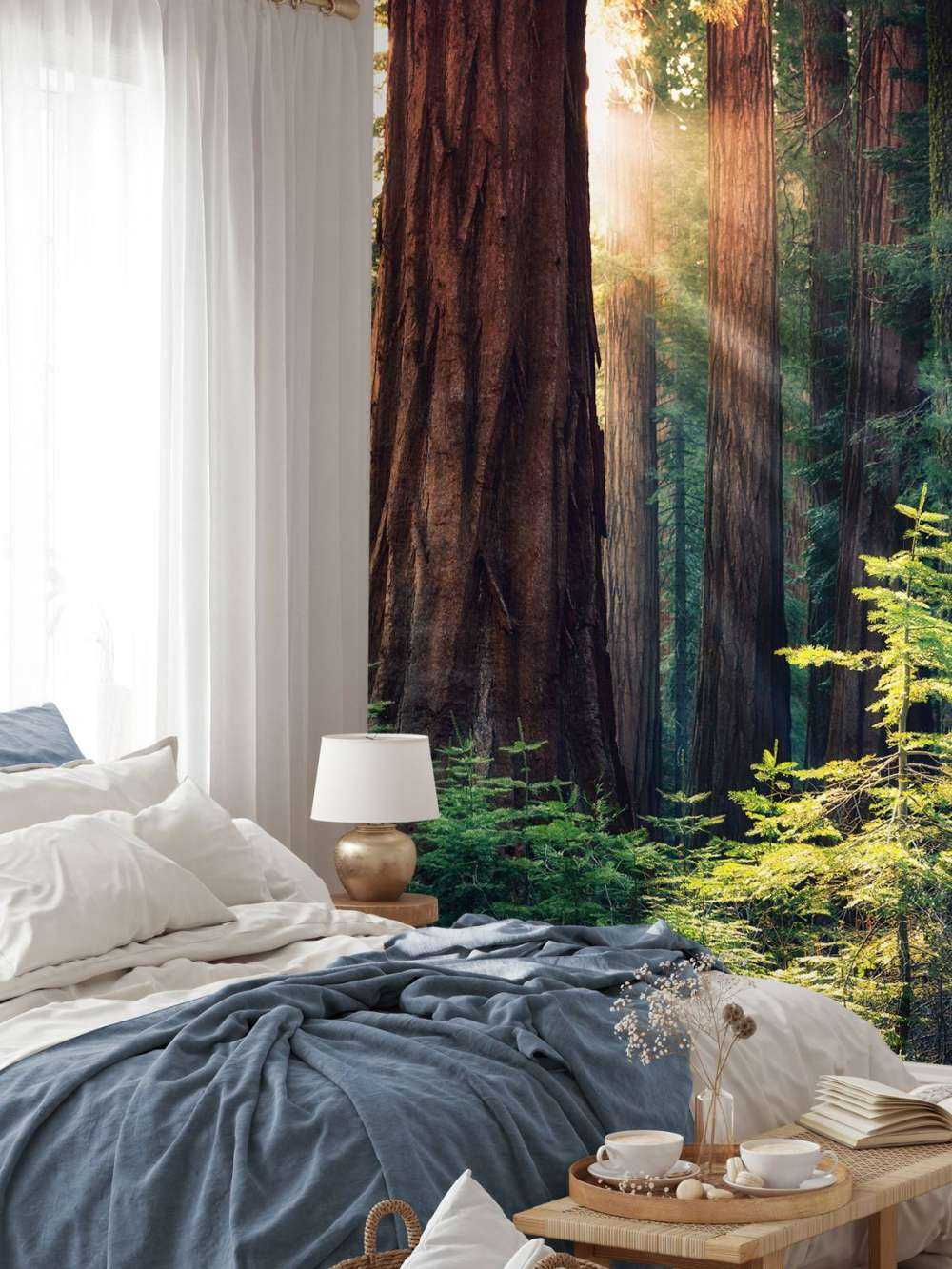 Luce del sole tra gli alberi di mogano