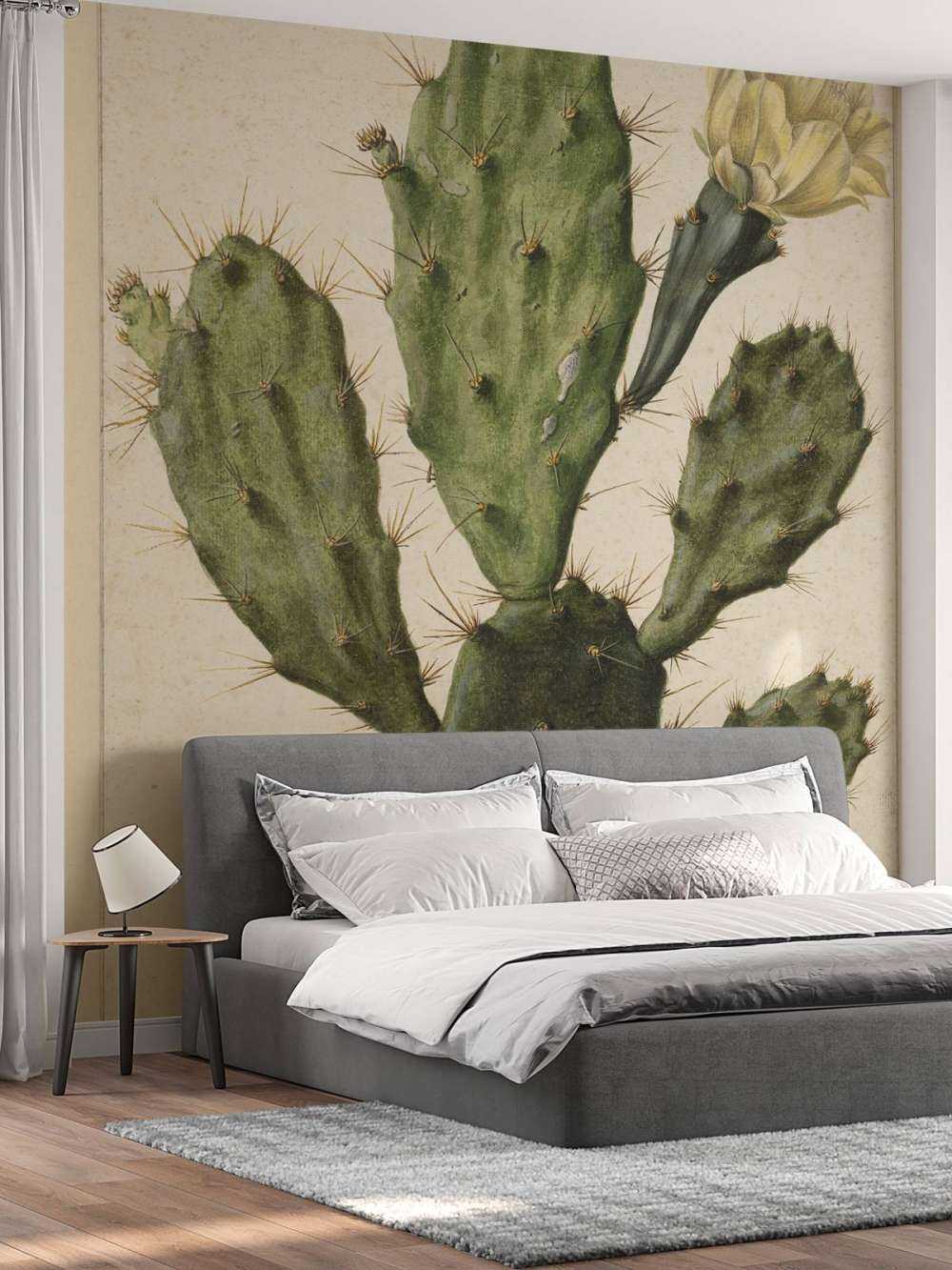 Cactus di fico in fiore